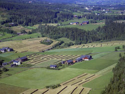 Sør-Fron, Harpefoss vestside. Skurdal nedre (Nigard) eller S