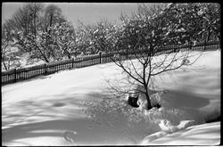 Vinterstemninger fra hage og gårdstun på Balke Vestre i Østr