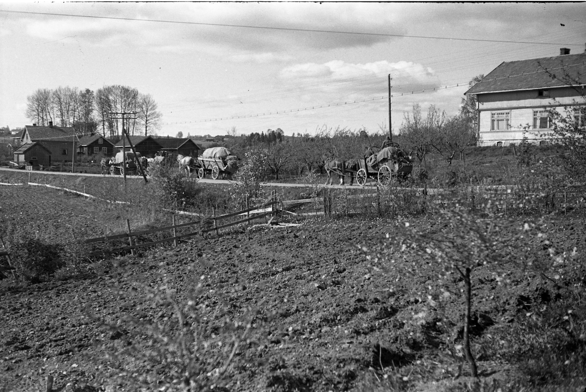 Kolonne med tyske hestekjøretøy på nåværende F.v. 33 på Kraby i mai-dagene 1945.