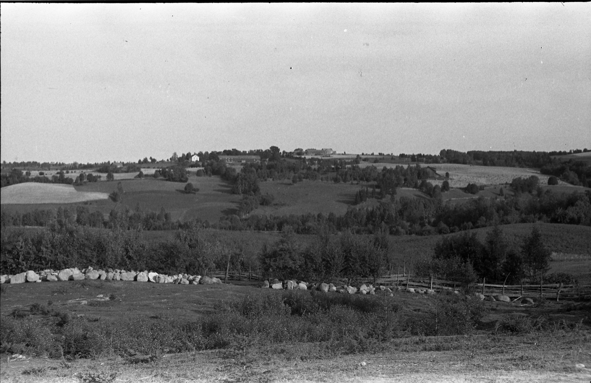 Kolbu landskap. Øverst mot horisonten til venstre trolig gården Tangen, og til høyre for denne trolig Solberg søndre.