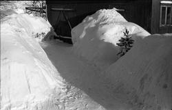 Vintermotiver. Serie på 8 bilder.