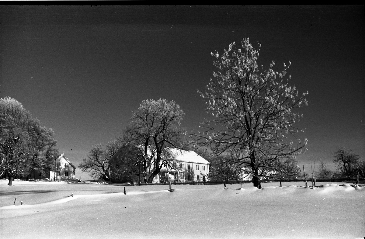 Hoff Prestegård i Østre Toten. Vintermotiv februar 1948. Tre bilder.