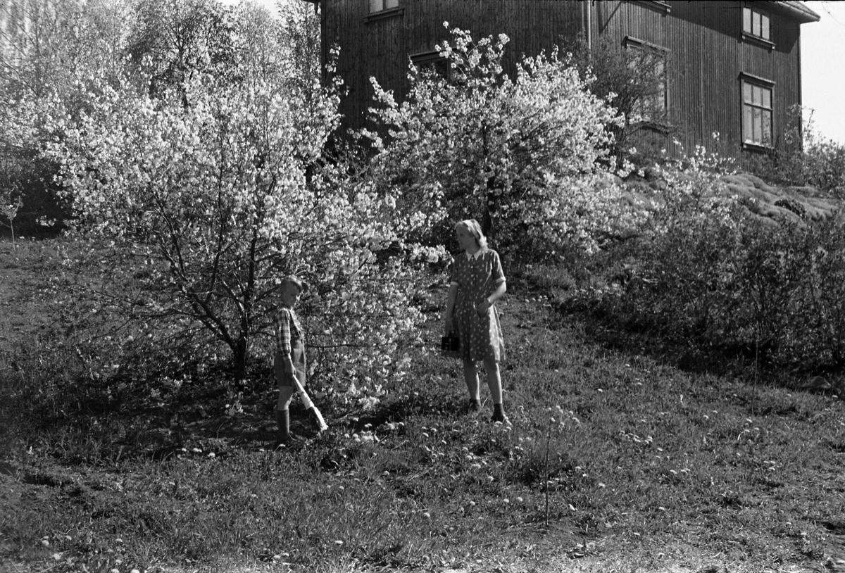 Sigrun og Kjell Røisli i hagen hjemme på Odberg på Kraby, Østre Toten.
