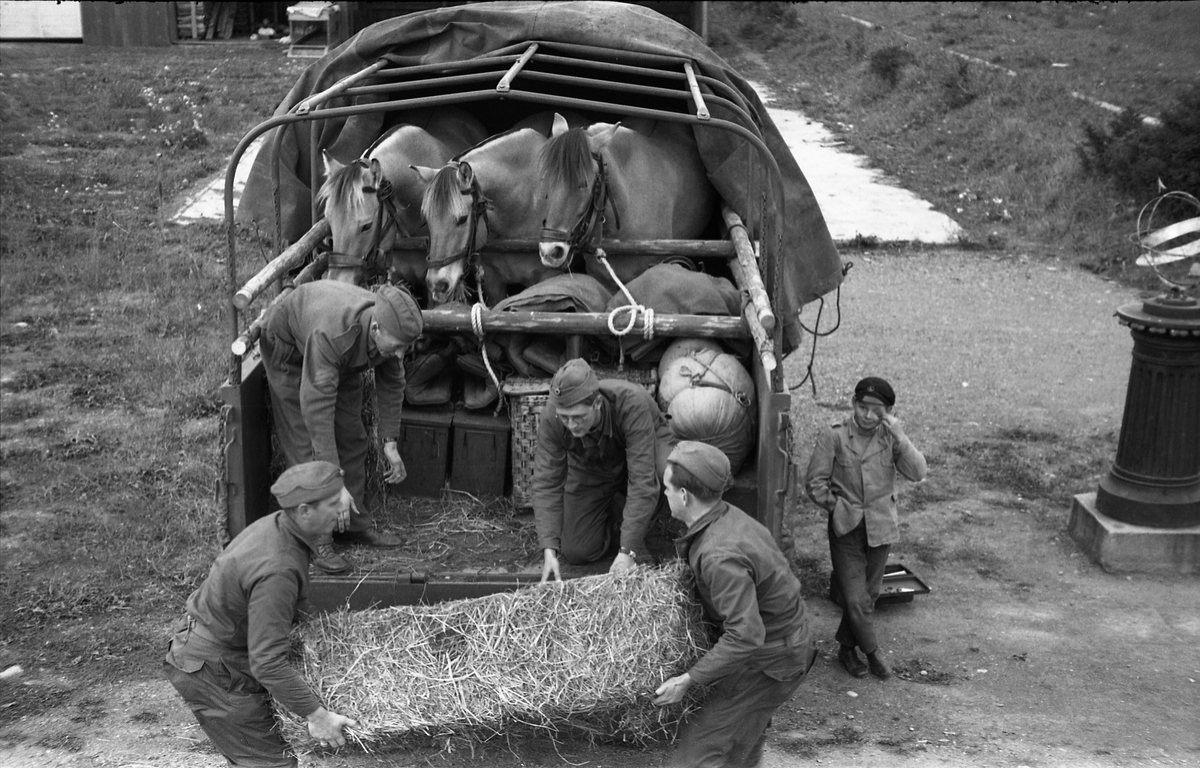 Opplasting av hester på lastebil ved Hærens Hesteskole på Starum september 1948. Serie på 24 bilder. Lengst til venstre på bilde nr. 1 står daværende sersjant Ottar Markeng.
Bildene nr. 1-4 og 17-24 eer trolig fra Hoffsvangen, de øvrige fra Starum Leir.