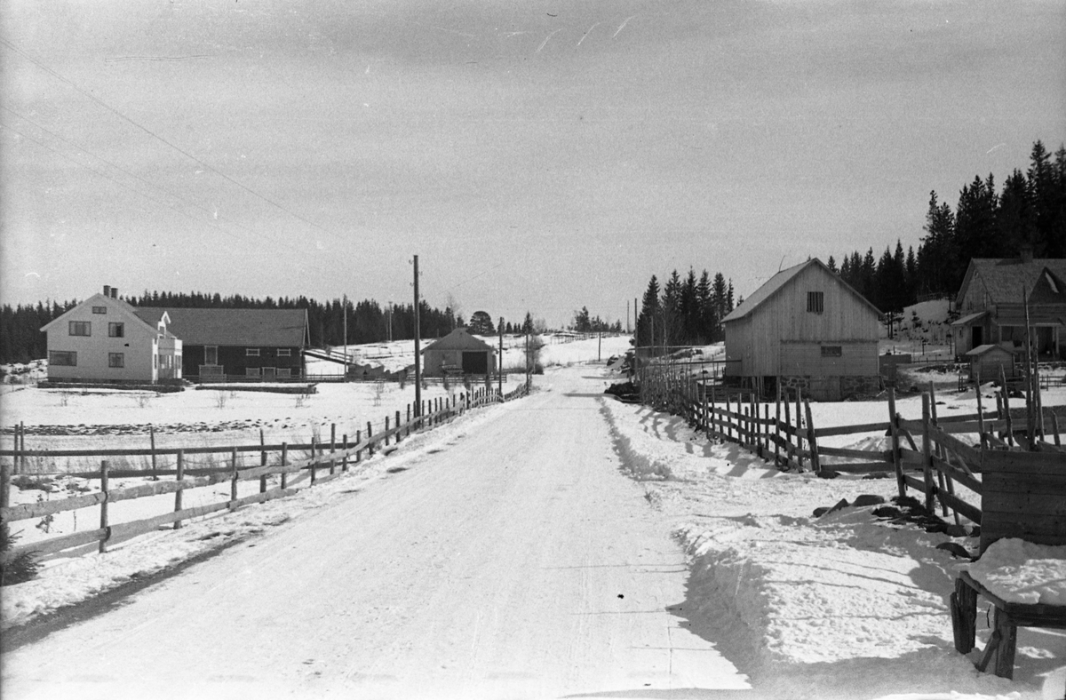 Vintermotiv fra Lensbygdavegen litt øst for Lindholm, ved avkjøringa til Årumsvegen. Til venstre Bjørgan (Kolbjørn Owren), til høyre Grande.