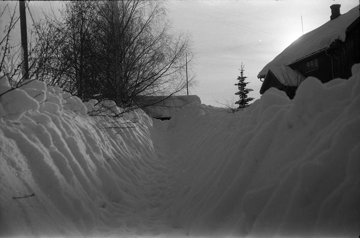 Snøvinteren 1951. Åtte bilder fra fotografens eiendom Odberg på Kraby, Ø.Toten.