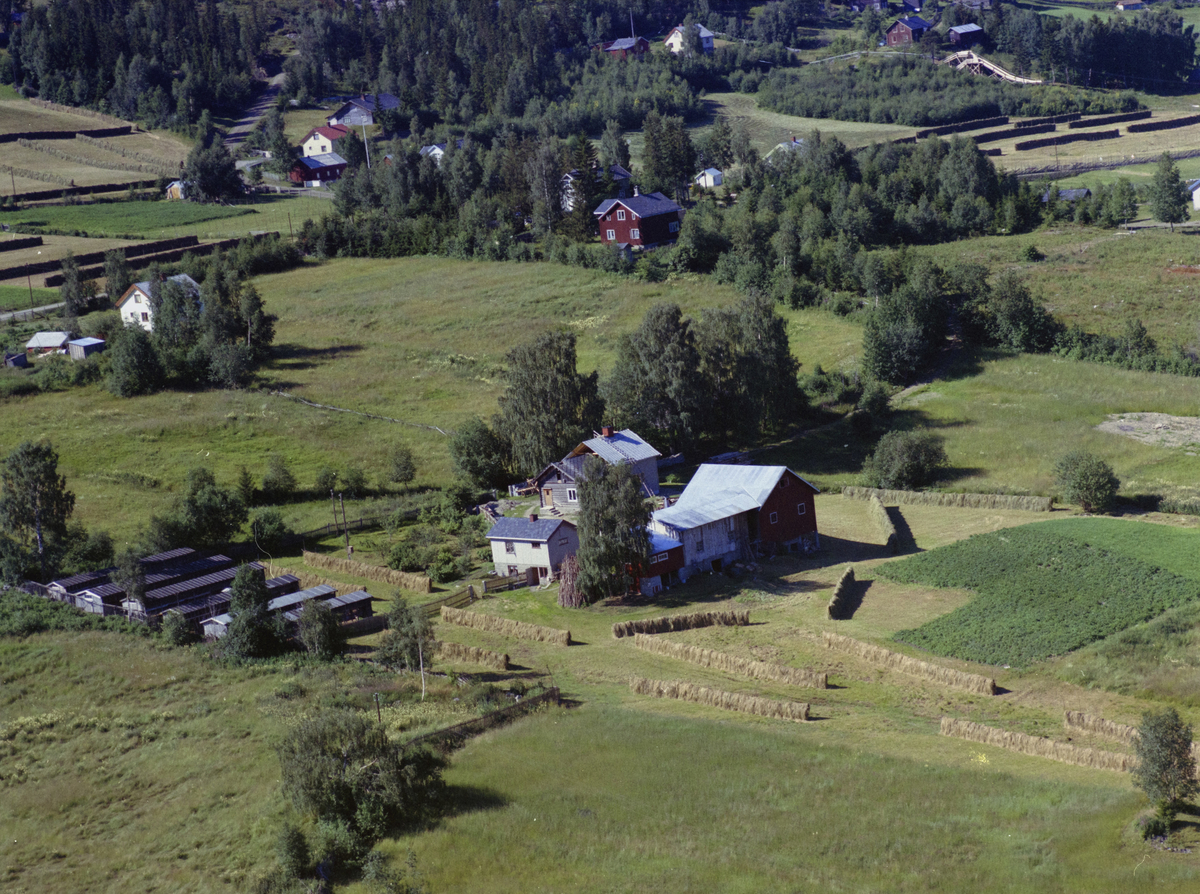 Sør-Fron, Hundorp vestside, gårdsbruket Bakkom, med rev-eller minkgård. Hoppbakken ved Liene skole helt bakerst. Kulturlandskap, bygninger.