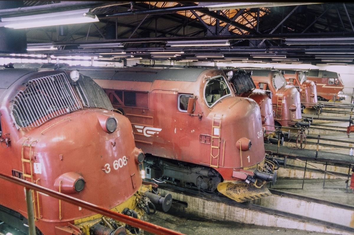 Fra lokomotivstallen på Marienborg i Trondheim. Fem diesellokomotiver type Di 3 og et diesellokomotiv type Di 4 (bakerst). .
