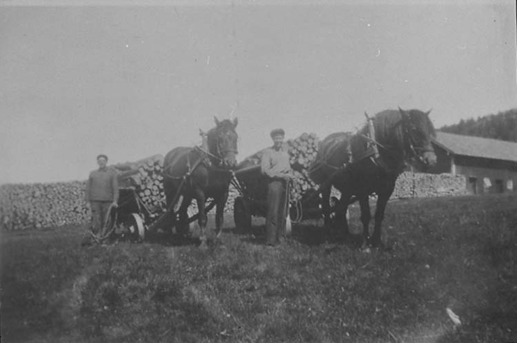 Karl Hansson (till vänster) från Sör-Gåshult och Ivan Berntsson från Hogdal kör gengasvirke från skogen. Hästarna heter Svante och Hero.