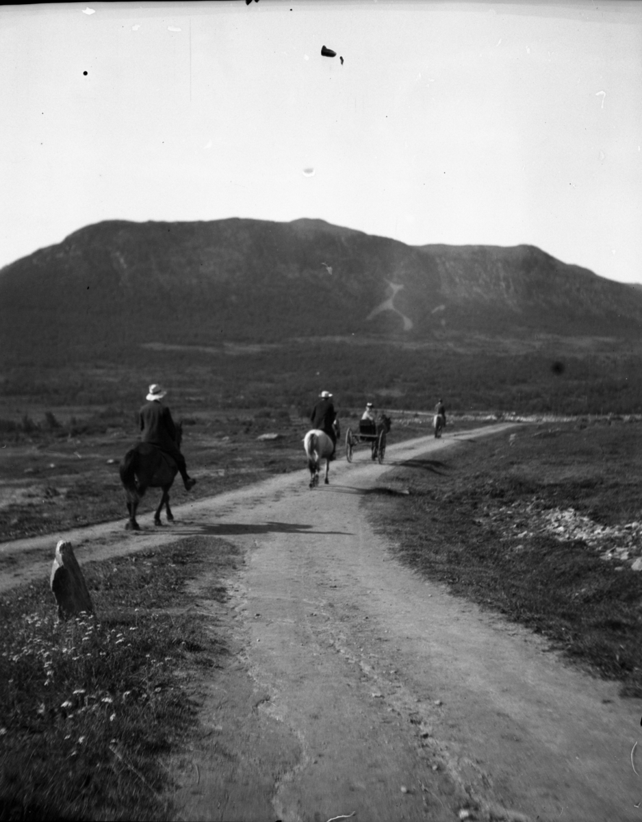 Rikard Berges fotoarkiv. Landskapsbilder og portretter Bilde nr. 10.

Fotografier tatt av Rikard Berge. 642 nummer. Samlingen består av negativer bladfilm. Motivene er ført inn i egen protokoll av Berge. Protokollen har tittel "Bilæt-emne"