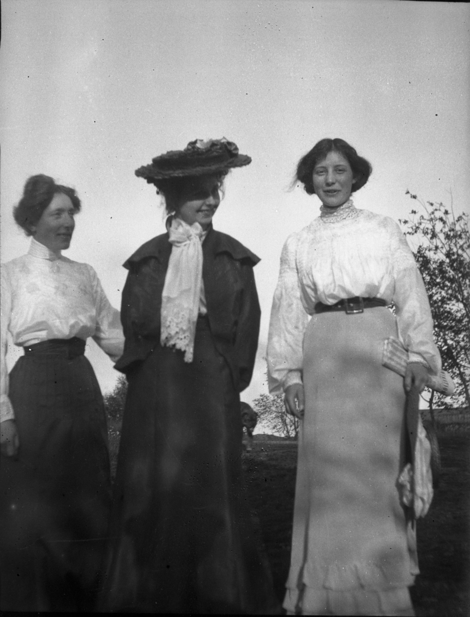 Rikard Berges fotoarkiv. Landskapsbilder og portretter Bilde nr. 10.

Fotografier tatt av Rikard Berge. 642 nummer. Samlingen består av negativer bladfilm. Motivene er ført inn i egen protokoll av Berge. Protokollen har tittel "Bilæt-emne"