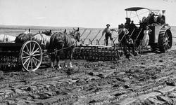 Harving med hest og damptraktor