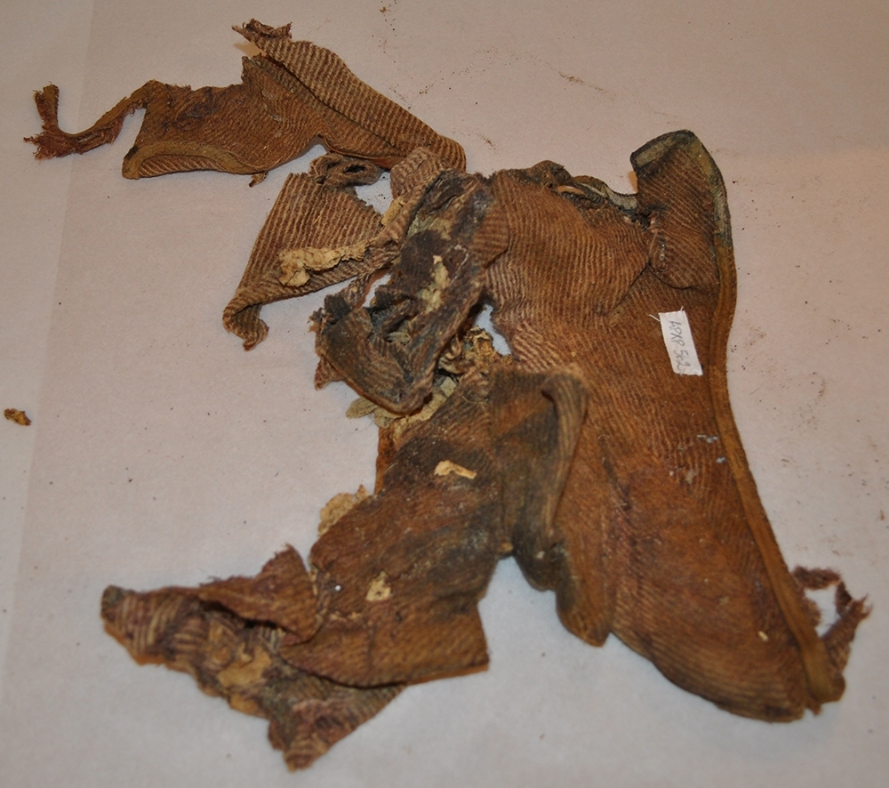 Fragment av mössa. Brun med mörkare ränder. Jämför APXP.519