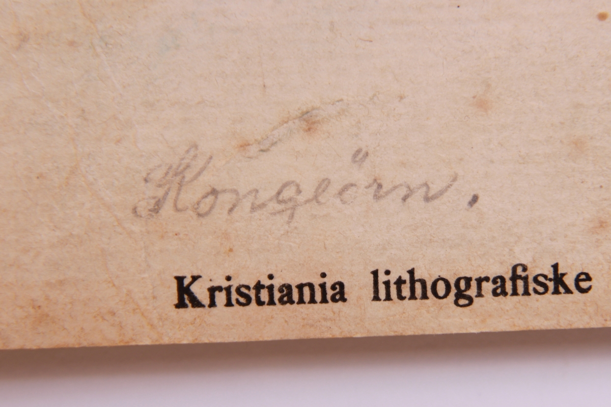 Store og små detaljer av fugler og ørn