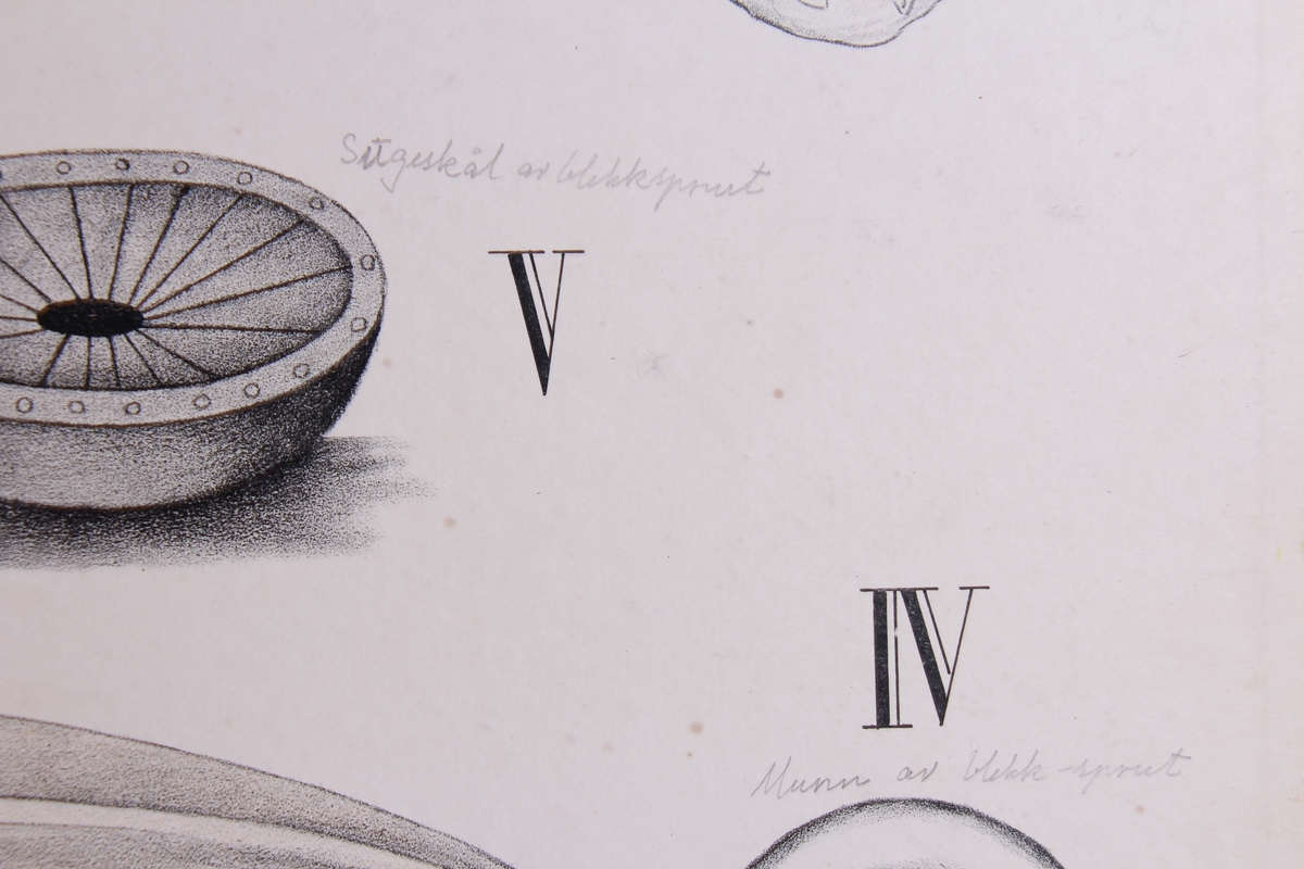 Detaljer av snegler.