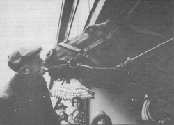 Vognmann Arhur Holch og hesten Black Prince.