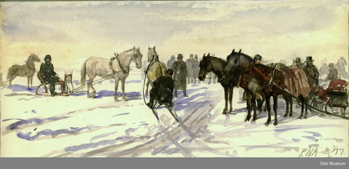 dyr, hester med sleder på isen