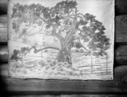 Maleri av Karl Løkke