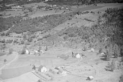 Odden gård, Østsida, Øyer, 16.07.1959, oversiktsbilde, foto 