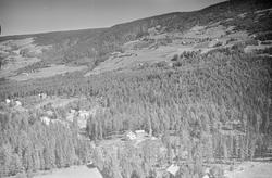 Lien gård (usikker), Øyer, 16.07.1959, li, kulturlandskap, f