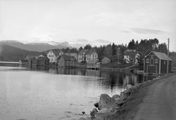 Parti fra Meisingset på Nordmøre