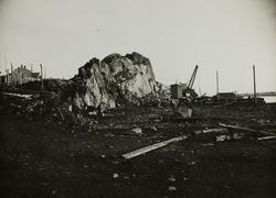 Risøy sett mot sydøst ca.1932