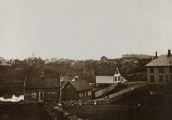 Hasseløy og Haugesjøen sett mot nordøst ca.1895