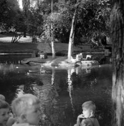St.Hanshaugen. Juli 1952