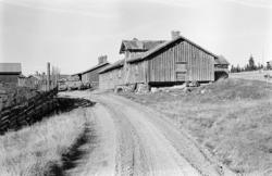 Nysetra setermeieri, Philske sameie, seterbruk på Hedmarken,