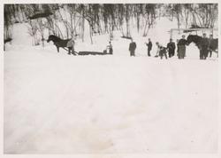 Snørydding med hester og sleder.