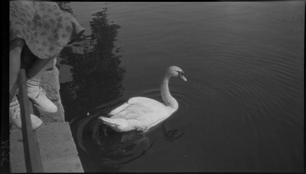 Bilder fra turer i Stavanger med Per og Alf Årseth, Annie Kamsrud og Finn Johannessen.