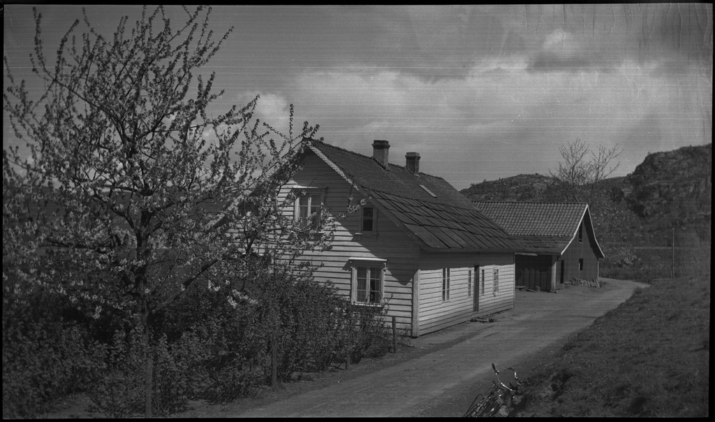 Harald Bergsaker og fotografen besøker flere små gårdsbruk og bygder i Strand kommune. Det er bilder fra landskap, bebyggelse, barn, sauer og lam. Frukttrærne står i full blomst.