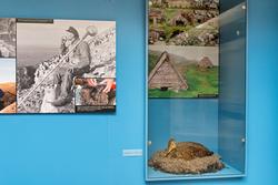 Fra utstillingen Tråkk på Norsk skogmuseum, Elverum, Hedmark