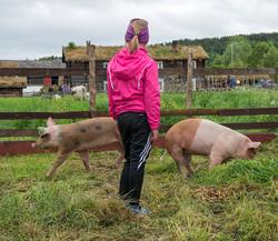 Fra "Fløttdagen" på Dølmotunet 2016, Tolga, Hedmark. Musea i