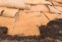 Bilde tatt i forbindelse med legging av torv på gamme. Fra g