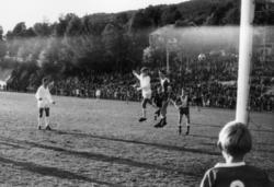 ."Molde FK, MFK, Molde fotballklubb"