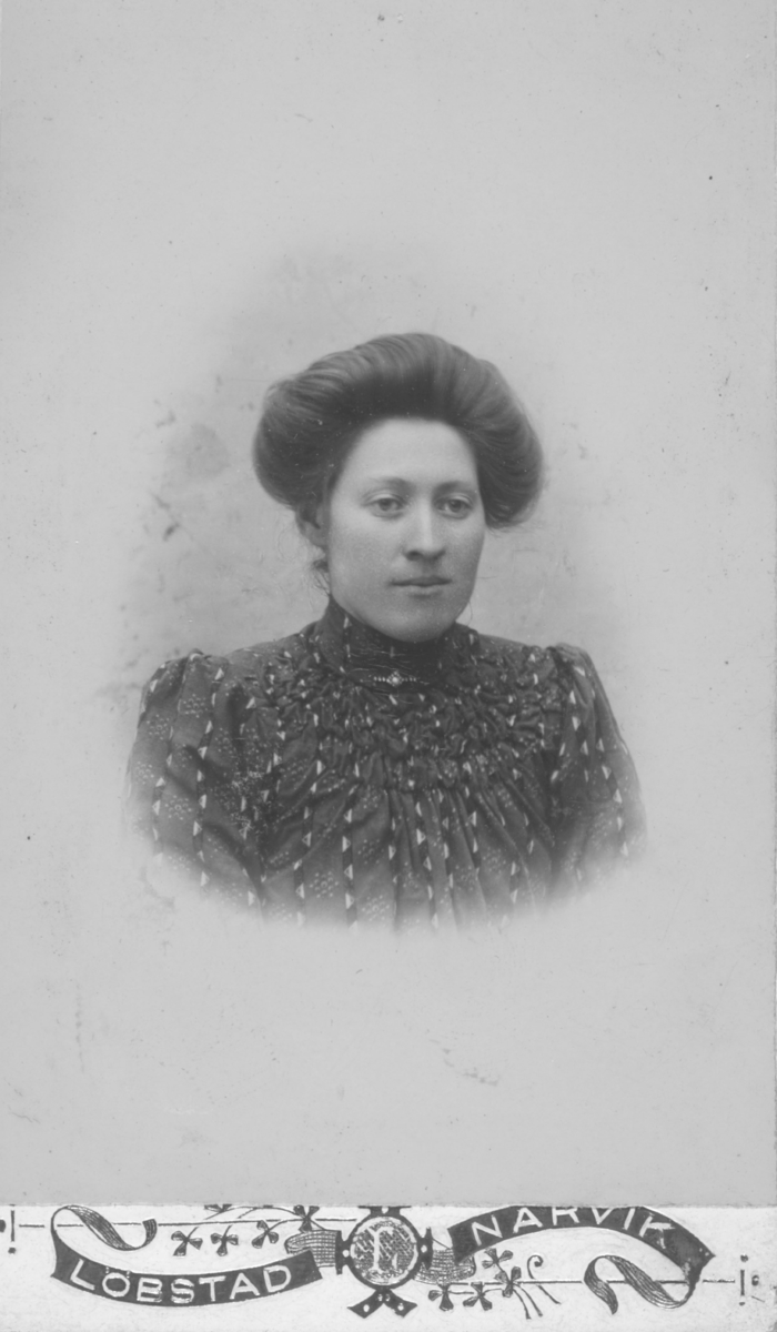 Album med portrettbilder. Albumet har tilhørt Aksel Konrad Mikkola og hans hustru Kathinka Marie, f. Mikkelsen. Det er nå i Solbjørg Mikkolas eie. Navnene til de portretterte er for en stor del ukjente, men mange er fra Neiden og Sør-Varanger. Kathinka kom opprinnelig fra Lofoten, og en del av bildene viser hennes familie i Nordland