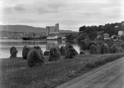 I. C. Piene & Søn i Buvika