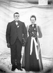 portrett, bryllup, brudekjole