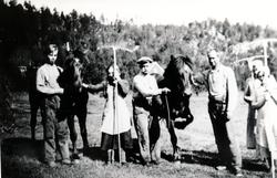 På Storjorda i slåtta i 1941. Tranøy
