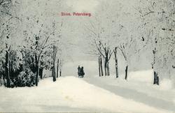 Vinterbilde fra Petersborg, Skien