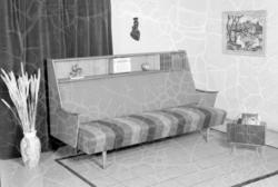 Kombinasjonsmøbel. Sofaseng med bokreol i rygg og aviskorg.