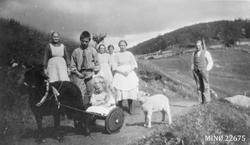 Personer, barn i vogn etter geit, barn, mann