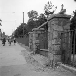 Vår Frelsers gravlund. Nytt gjerde. August 1955