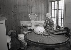 Berta i gong med "Knømaskinen"som knør salt inn i smør