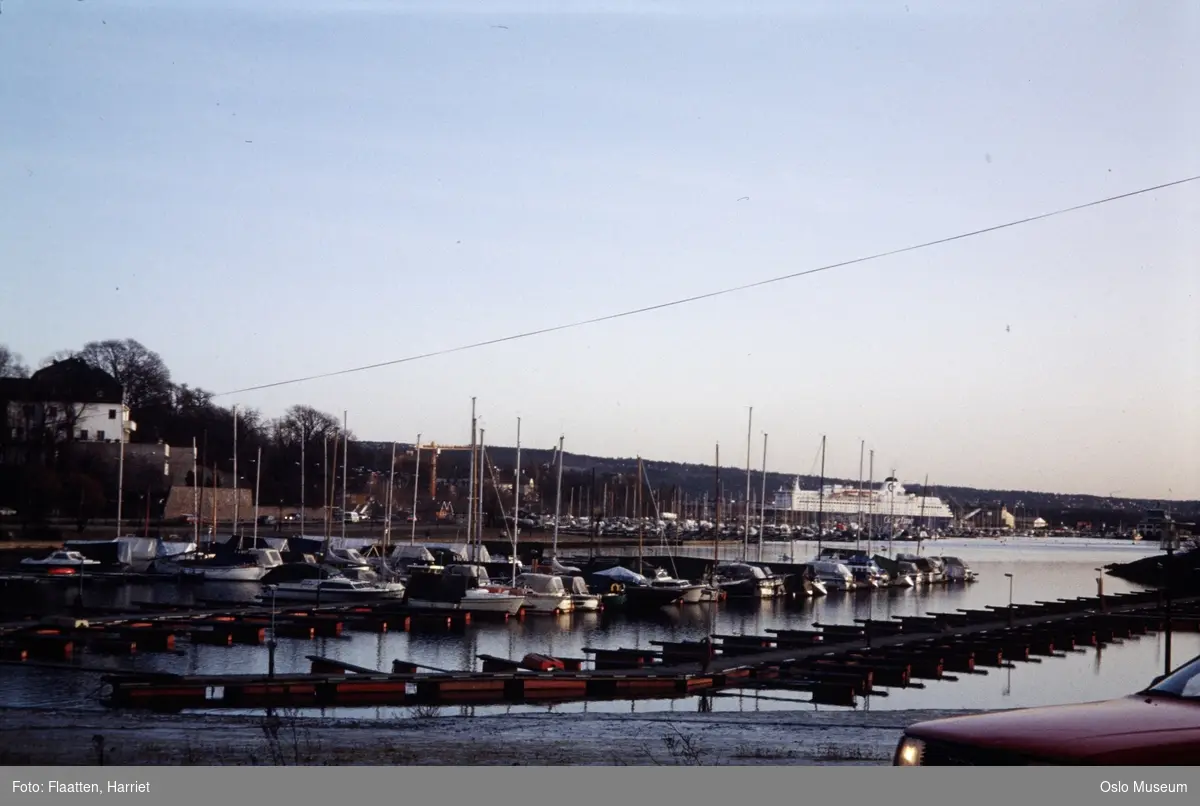 utsikt, småbåthavn, fjord