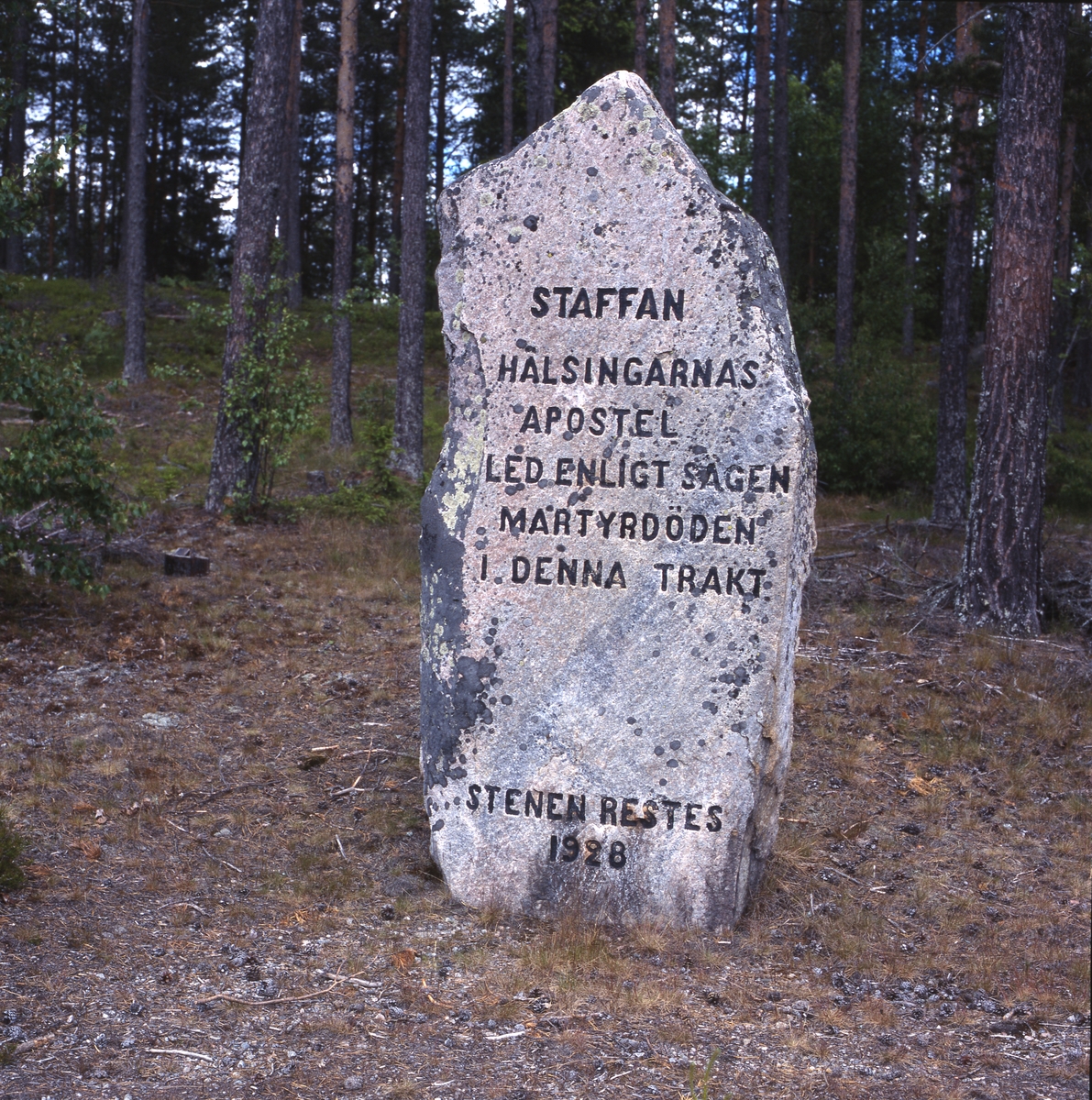 Staffansstenen med inskriptionen "Staffan hälsingarnas apostel led enligt sägen martyrdöden i denna trakt. Stenen restes 1928". Själstuga, maj 2001.