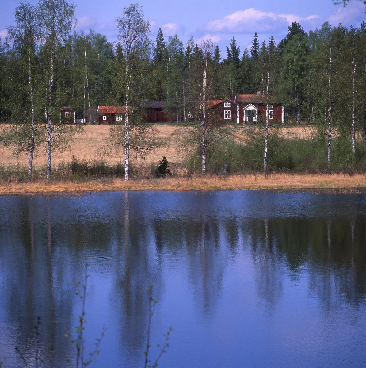 Torp vid skogsbryn och nära vatten, 1992.