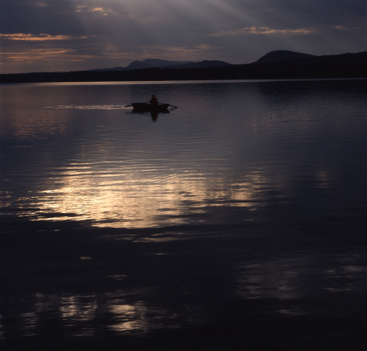 Metaren i sin eka på Hölesjön, Doddviken 15 juni 1999. Solnedgång med vackra speglingar i vattnet.