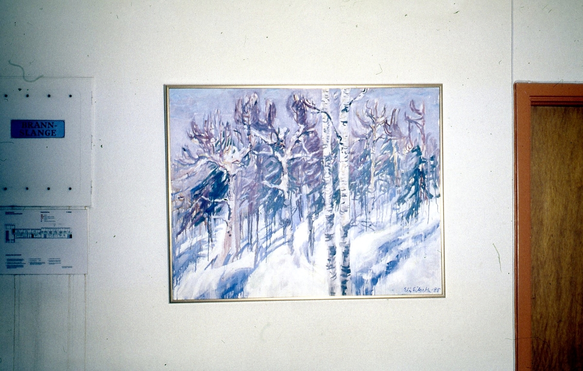 Vinterbjørketrær [maling]